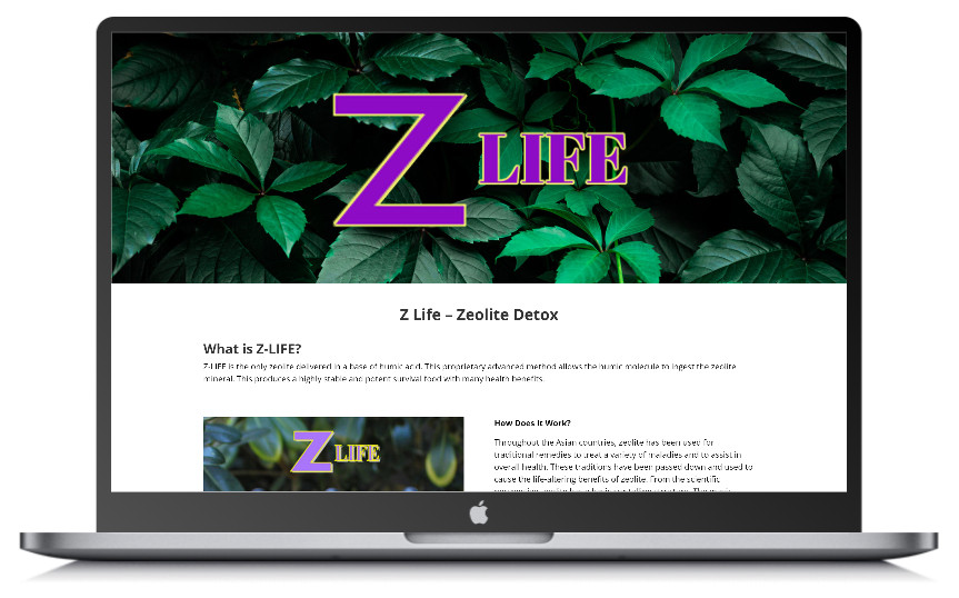 Z Life Website